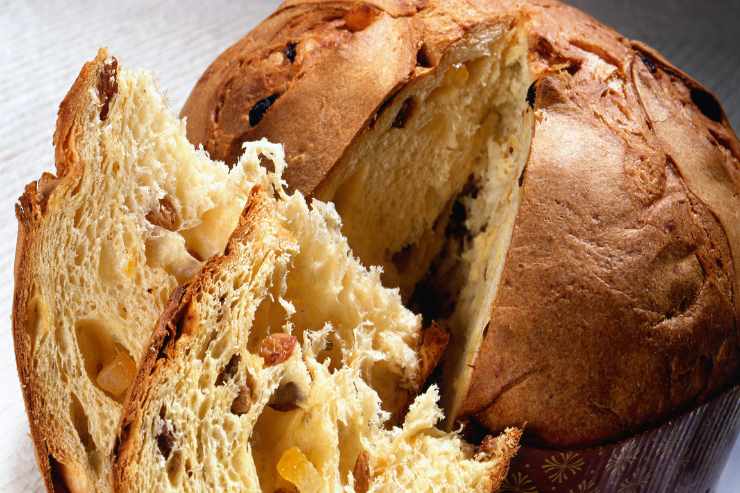 panettone